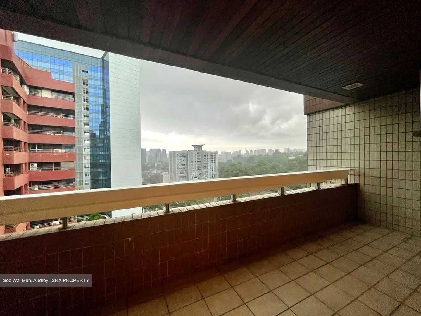 The Cairnhill (D9), Condominium #629703051